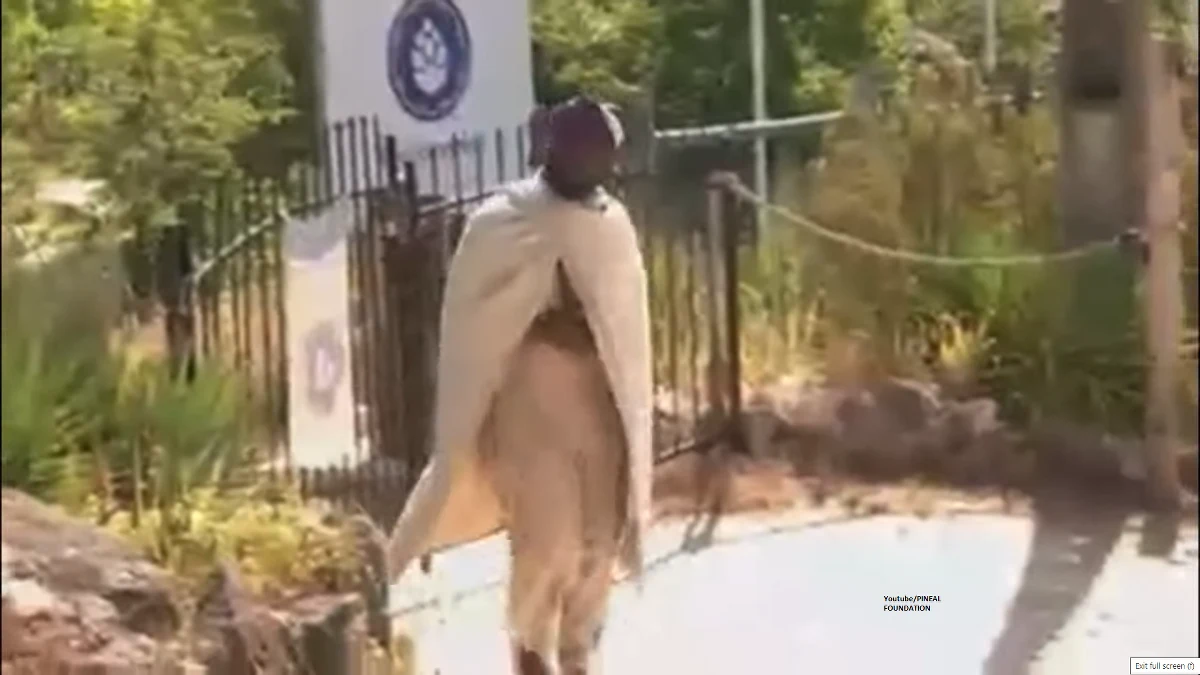 Guru zrzeszającej ok. 40 osób sekty, która działa w środkowej Portugalii ogłosił się królem nowego państwa - Królestwa Pineal. To projekt apolityczny i duchowy, który nie zagraża Portugalii - głosi guru, który twierdzi m.in., że Ziemia jest płaska. O grupie zrobiło się głośno, gdy na zajmowanym przez nią terenie zmarło 13-miesięczne dziecko. Portugalska prokuratura zapowiedziała wszczęcie śledztwa w tej sprawie.