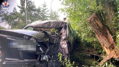 ​Honda rozbita na drzewie, kierowca i pasażerowie byli pijani