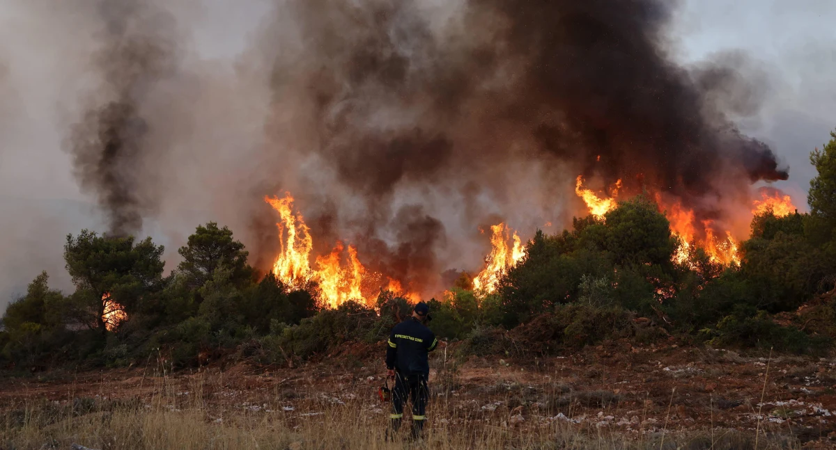 Polscy strażacy pomagają Grekom walczyć z pożarami lasów w gminie Mandra-Idilia w regionie Attyka, ok. 40 km na północny-zachód od Aten. Działa tam szesnaście naszych zastępów. Strażacy przyznają, że najgorszy jest upał, ale też wzmagający się wiatr oraz specyficzna roślinność bogata w olejki eteryczne.
