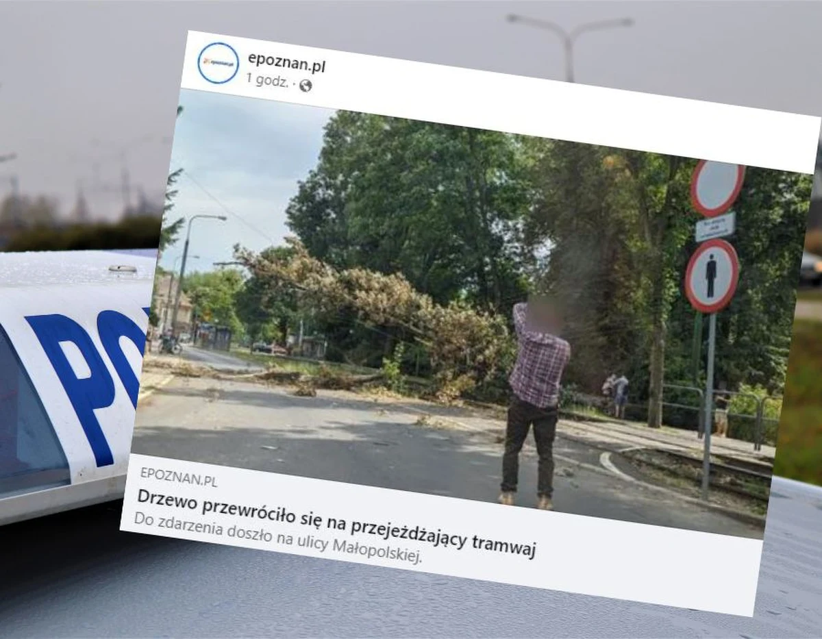 Do niebezpiecznego zdarzenia doszło w Poznaniu na ul. Małopolskiej. Jak informuje portal epoznan.pl, na jadący tramwaj przewróciło się drzewo. Na szczęście nikt nie został ranny.