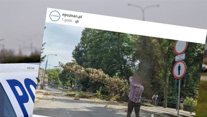 ​Poznań: Drzewo przewróciło się na jadący tramwaj