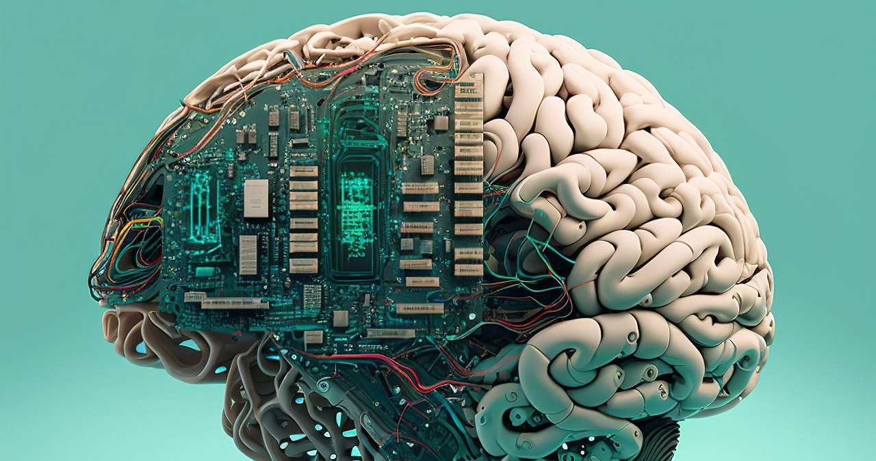 Wyhodowali w laboratorium ludzki mózg. Czy jest świadomy?