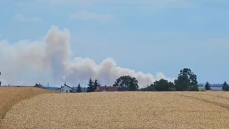 Wielki pożar zboża pod Świebodzinem. Dym widoczny z wielu kilometrów