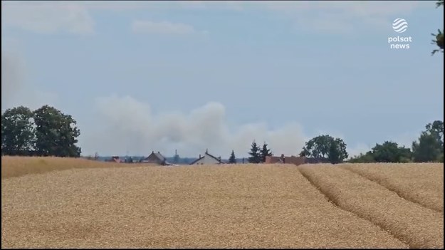 W Chlastawie (woj. lubuskie) zapłonęły pola zbóż, ogień dotarł do lasu. Obszar pożaru wynosił ok. 50 ha. Z ogniem walczyli strażacy z dwóch województw. Strażacy walczyli z pożarem od godziny 11:40 w poniedziałek. Obszar pożaru wynosił ok. 50 ha, były to głównie uprawy zboża. - Początkowo w akcji brało udział ok. 10 zespołów straży pożarnej z woj. lubuskiego, dodatkowo mieliśmy pomoc z powiatu nowotomyskiego (woj. wielkopolskie) - 12 zastepów gaśniczych - powiedział w rozmowie z Polsat News kpt. Radosław Cieśla z Komendy Powiatowej Państwowej Straży Pożarnej w Świebodzinie. W akcji brały udział także trzy samoloty gaśnicze Lasów Państwowych. W pewnym momencie ogień dotarł do lasu.