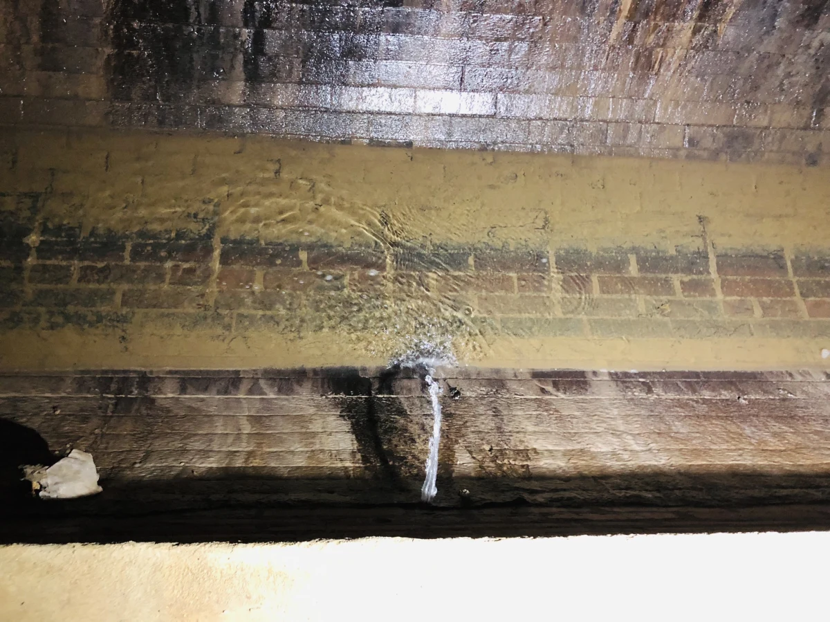 Unikalna w skali Łodzi pamiątka z początków średniowiecznego miasta. Po raz pierwszy będzie pokazana mieszkańcom w dniu 600. urodzin miasta. Już w sobotę i niedzielę (29 i 30 lipca) będzie można odbyć niepowtarzalną wyprawę do zarania Łodzi.