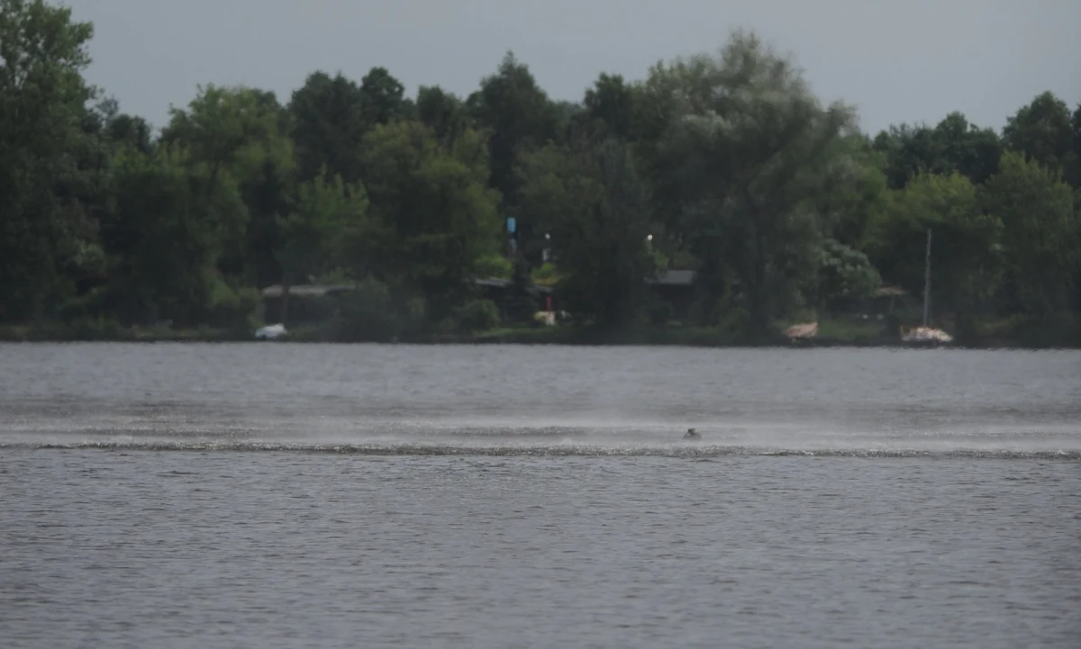 Od popołudnia w poniedziałek na jeziorze Zegrzyńskim trwają poszukiwania mężczyzny, który skoczył lub zsunął się z roweru wodnego. Płetwonurkowie WOPR szukają go już w nurcie Narwi.