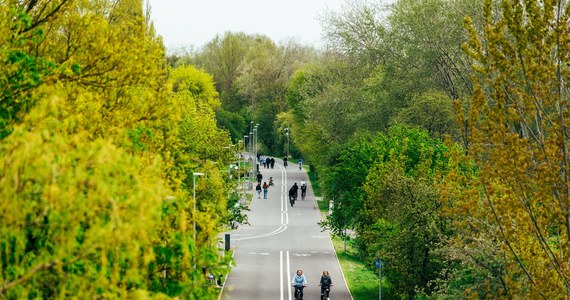 Poznań planuje poszerzyć ofertę ścieżek rowerowych. Miasto w nowym Studium uwarunkowań i kierunków zagospodarowania przestrzennego określiło plany rozwoju infrastruktury rowerowej.