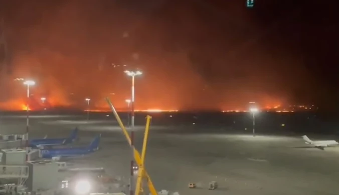 Niepokojące obrazy z Sycylii. Ogień zbliżył się do lotniska