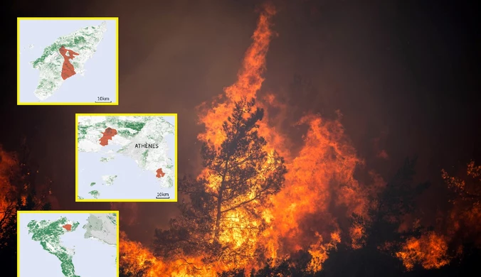 W Grecji spłonęło już 35 tys. hektarów zieleni. Pokazano mapę zagrożeń