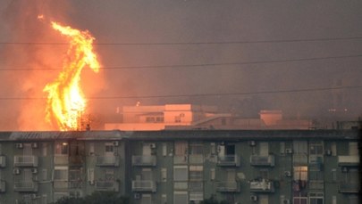 Coraz więcej pożarów na Sycylii. Krytyczna sytuacja, są ofiary