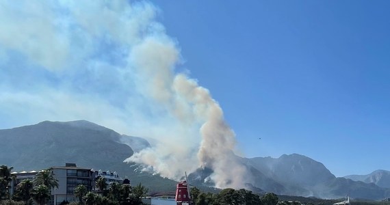 Samoloty, helikoptery i ponad 200 wozów zaangażowano w walkę z pożarami, które wybuchły w Turcji w bardzo popularnym wśród polskich turystów rejonie Antalyi. Jak dotąd spłonęło ok. 120 hektarów lasów.