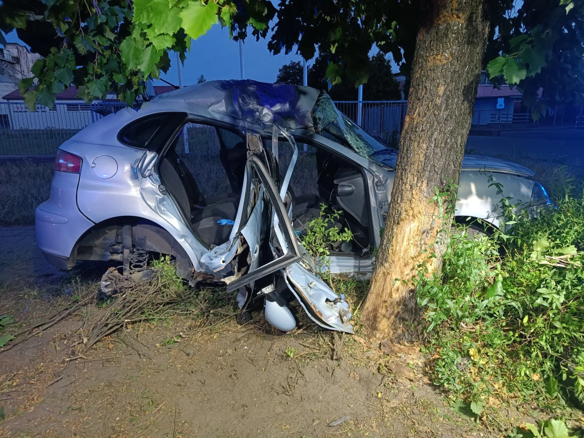 5 osób w wieku od 17 do 19 lat trafiło do szpitala po wypadku na ul. Śniadeckich w Lesznie. Auto osobowe uderzyło tam w drzewo. 