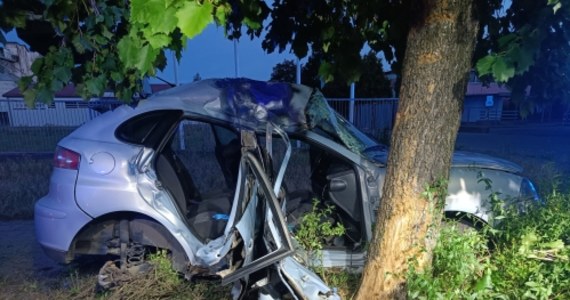 5 osób w wieku od 17 do 19 lat trafiło do szpitala po wypadku na ul. Śniadeckich w Lesznie. Auto osobowe uderzyło tam w drzewo. 