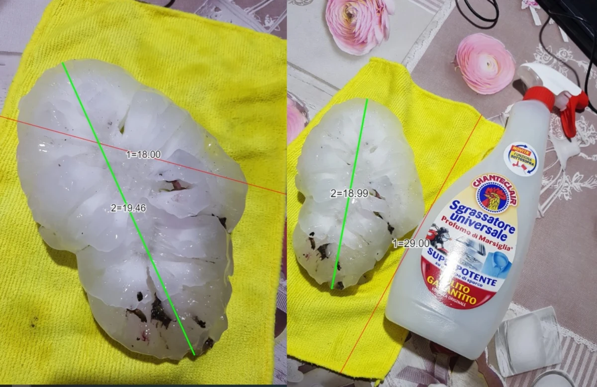 19 cm średnicy miała kula gradowa znaleziona w miejscowości Azzano Decimo we Włoszech. Jest prawdopodobnie największą, jaka spadła kiedykolwiek w Europie.