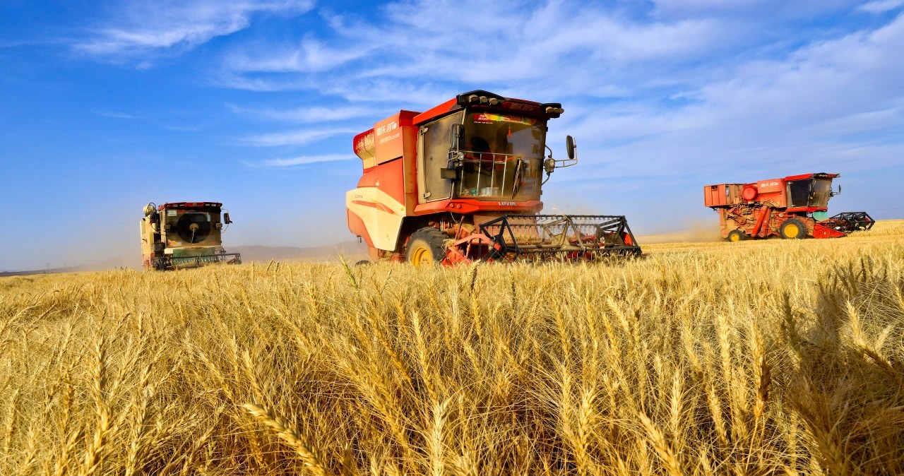 Tylko jeden kraj na świecie wyżywi się sam bez importu żywności