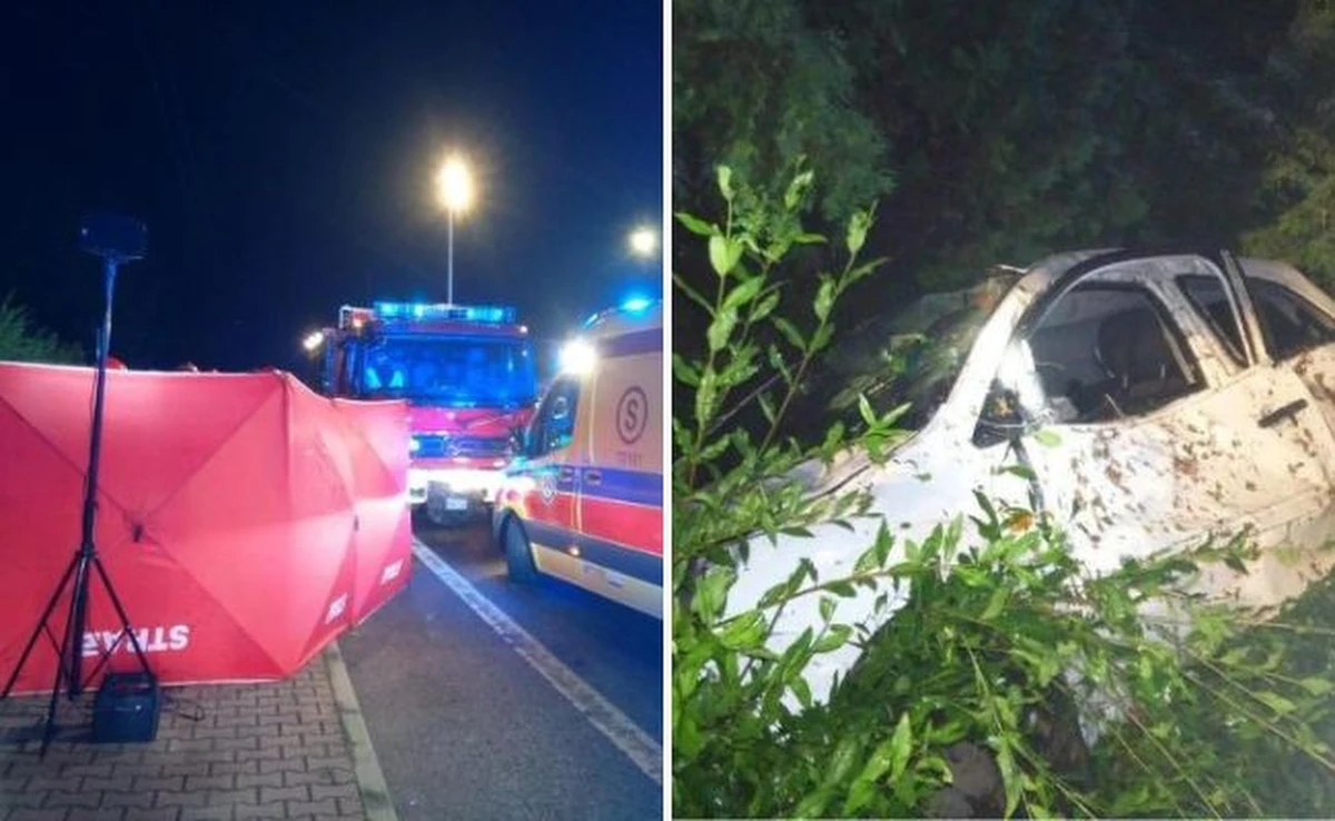 Do tragicznego wypadku doszło we wtorek wieczorem w miejscowości Bieliny w powiecie kieleckim. 19-letni kierowca śmiertelne potrącił 3 mężczyzn. Według wstępnych informacji, samochód wypadł z drogi i wjechał w trzy osoby znajdujące się na chodniku.
