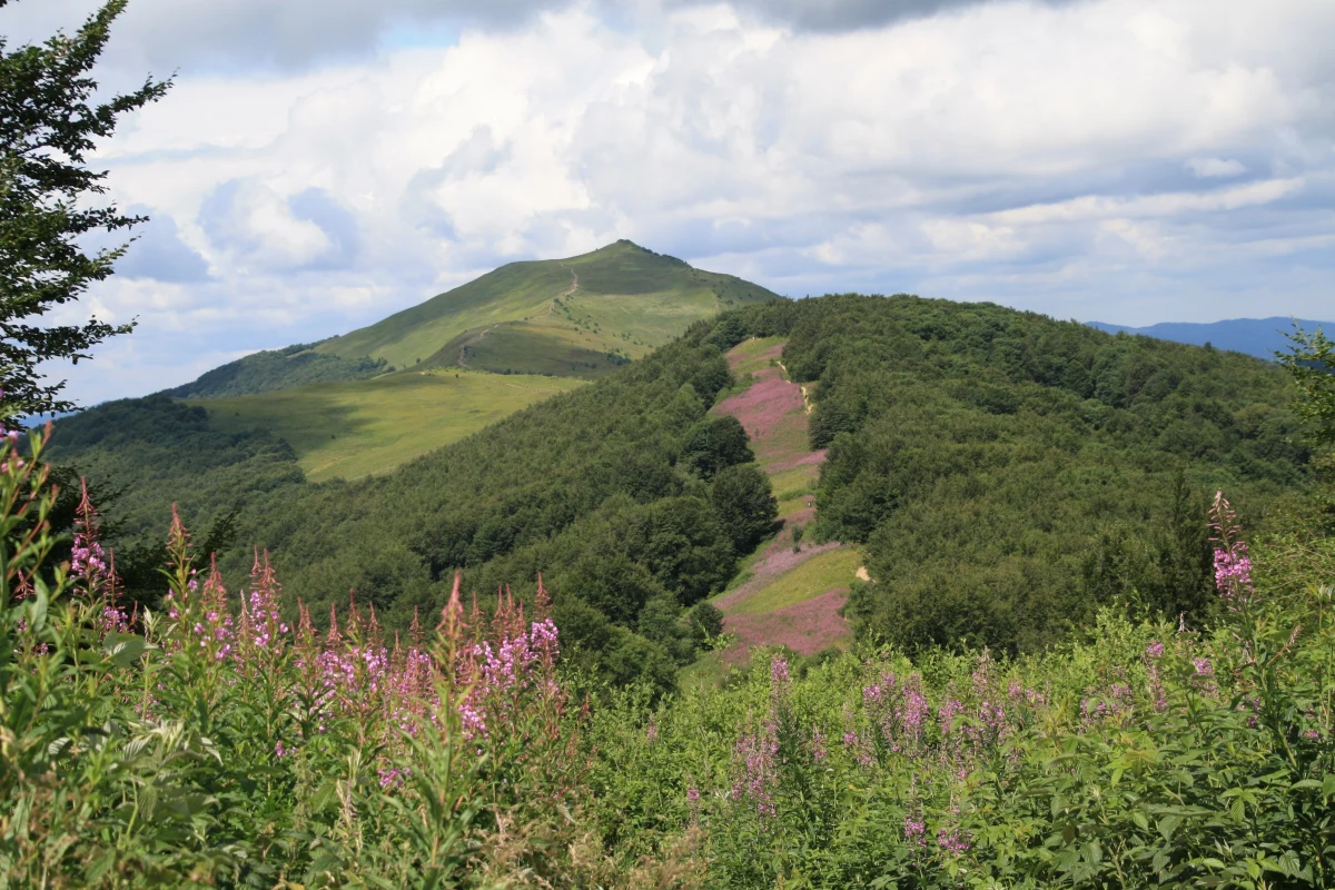 Zaledwie 10-letnia dziewczynka samotnie spacerowała bieszczadzkimi szlakami. Przewodnik, który wędrował z grupą harcerzy, zauważył, że idzie za nimi dziecko bez opiekunów. 