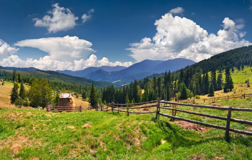 Zmieniają plany, Polska może dużo zyskać. "Największą grupą pozostają Niemcy"