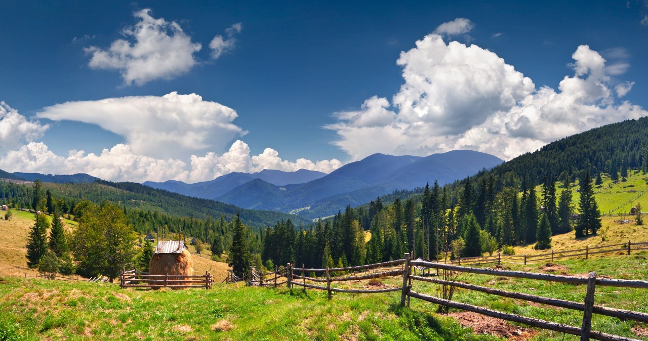 Zmieniają plany, Polska może dużo zyskać. "Największą grupą pozostają Niemcy"