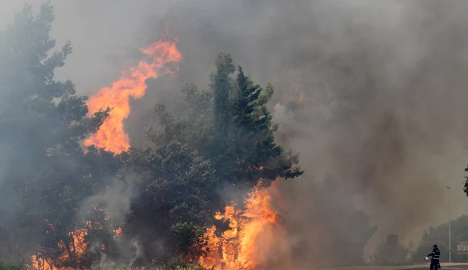 Chorwaccy strażacy walczą z pożarem. Eksplodowały miny z czasów wojny