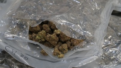 Marihuana w przesyłce. Narkotyki za ponad 600 tys. zł na lotnisku Chopina