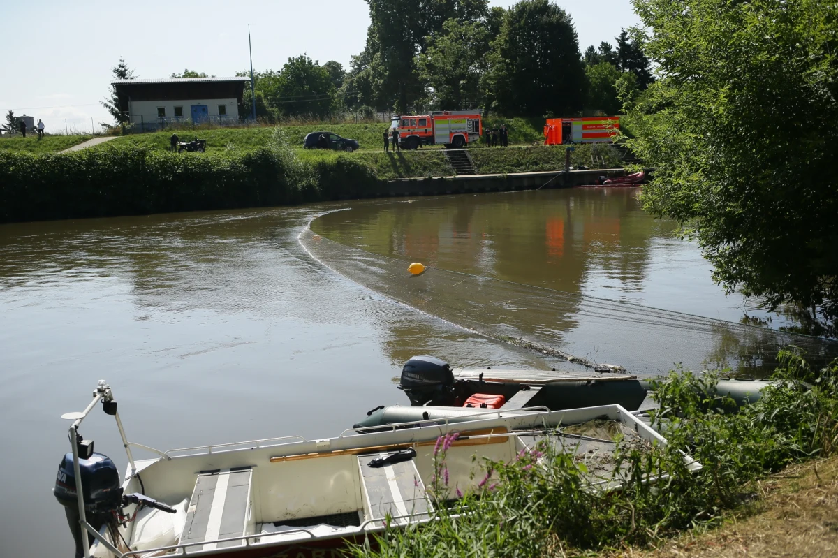 "Do tej pory z Odry wyłowiono i zebrano już ponad 1100 kilogramów padłej ryby" - poinformował wojewoda śląski Jarosław Wieczorek. Podkreślił, że w próbkach wody pobranych na terenie Polski nie wykazano obecności tzw. złotej algi oraz, że trwają badania padłych ryb. 