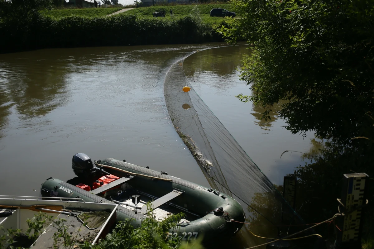 Czesi ustalili, że śnięcie ryb następuje na 4-kilometrowym odcinku Odry, od ujścia rzeki Stróżki - poinformowało Ministerstwo Infrastruktury. Jak podkreślono, na razie nie ustalono, co jest powodem tej sytuacji. 