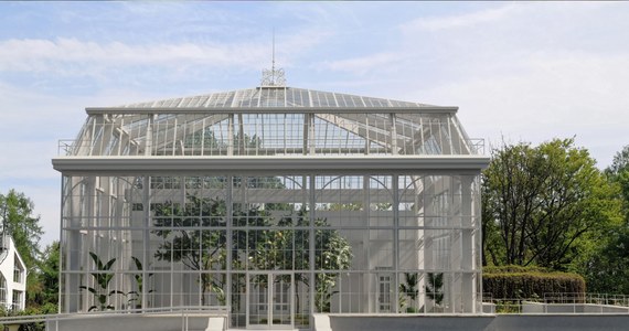 W Ogrodzie Botanicznym Uniwersytetu Jagiellońskiego powstanie imponująca oranżeria, w której będzie można zobaczyć tropikalne rośliny. Budynek ma zostać zbudowany na miejscu szklarni z XIX wieku, która przez 80 lat stanowiła część krakowskiego ogrodu botanicznego.