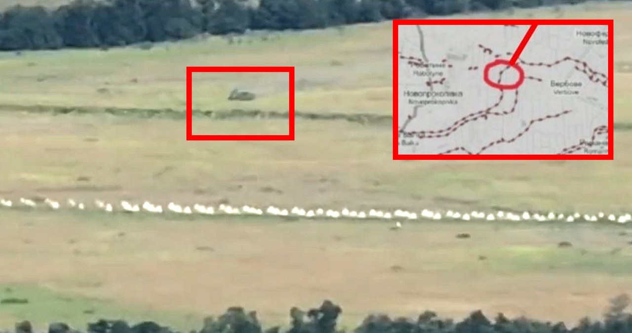 Siły Zbrojne Ukrainy zbliżyły się do słynnej Linii Surowikina w okolicach Robotyne w obwodzie zaporoskim. Na opublikowanym filmie widoczne są rowy i zęby smoka.
