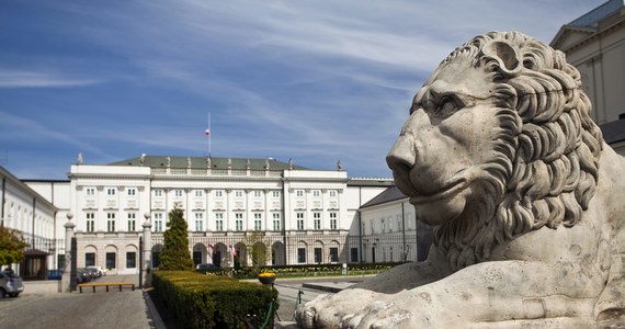 Kamienne lwy sprzed Pałacu Prezydenckiego w Warszawie przejdą renowację z zastosowaniem nowoczesnych technologii. Konstrukcja lwów zostanie wzmocniona, ubytki uzupełnione, a powierzchnia zabezpieczona przed wilgocią - poinformowała Kancelaria Prezydenta.

