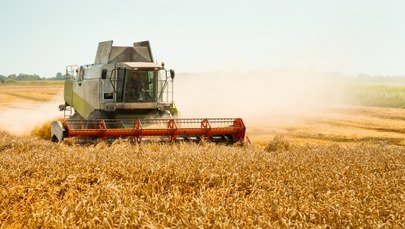 Rolnicy wciąż narzekają na aplikację suszową