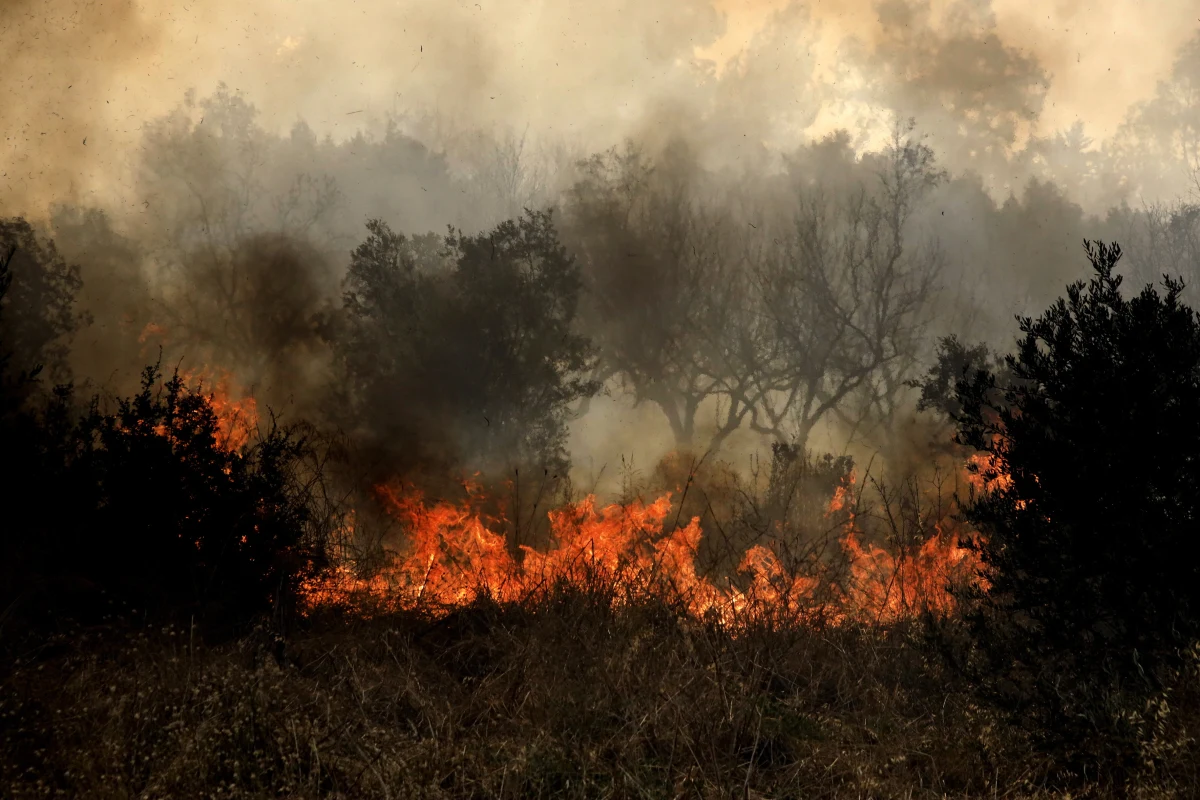 Gęsta roślinność, górzysty teren i wiatr wiejący od morza. Do tego niezwykle wysoka w ostatnim czasie temperatura i brak opadów deszczu. To zdaniem strażaka i eksperta ds. pożarnictwa Przemysława Rembielaka największe trudności związane z gaszeniem pożarów w miejscach takich jak Grecja. W ciągu ostatnich kilkunastu dni pożary wybuchały tam na Rodos, w pobliżu Aten, na terenie Magnezji czy na Korfu. Strażacy walczyli z ogniem także we Włoszech - na Sycylii i południu kontynentalnej części kraju. Płomienie ogarnęły nawet wybrzeże Algierii po drugiej stronie Morza Tyrreńskiego. 