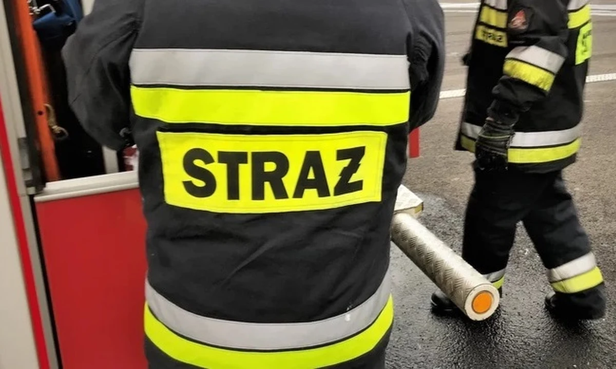 Pożar domu jednorodzinnego wybuchł w sobotę wieczorem w miejscowości Ściegny koło Karpacza w województwie dolnośląskim. Jedna osoba została poszkodowana.