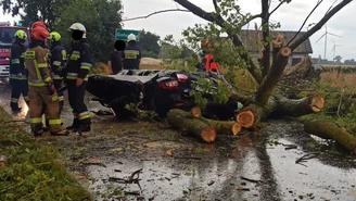 Tragiczne skutki nawałnic. Na auto runęło drzewo. Nie żyje 47-latek