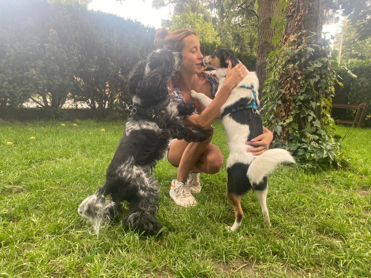 ​Wyjazdy służbowe, weekendowe i wakacje nie muszą oznaczać konieczności zabierania ze sobą czworonoga. Hotele dla zwierząt albo opiekunowie, którzy pod naszą nieobecność będą odwiedzać kota czy psa w domu, to doskonałe wyjście z sytuacji.