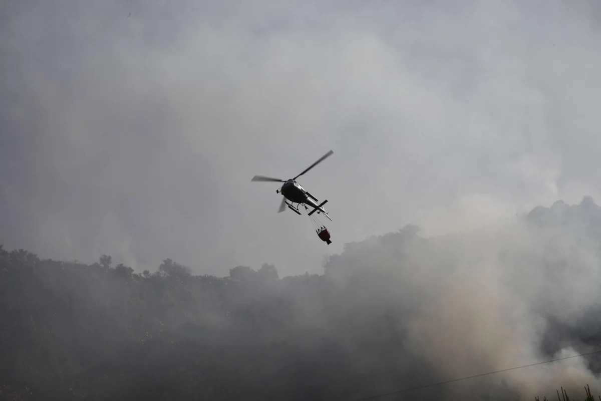 Po niedawnym pożarze wysypiska śmieci w rejonie Palermo na Sycylii władze tego miasta zaapelowały do mieszkańców terenów wokół niego, by w związku z obecnością dioksyny w powietrzu przez 15 dni nie jedli mięsa, nabiału i jajek. Nakazano też nadzwyczajne sprzątanie ulic.