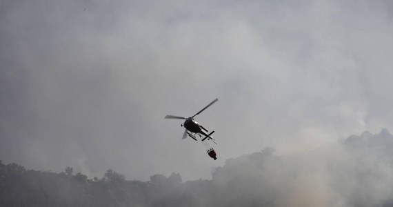 Po niedawnym pożarze wysypiska śmieci w rejonie Palermo na Sycylii władze tego miasta zaapelowały do mieszkańców terenów wokół niego, by w związku z obecnością dioksyny w powietrzu przez 15 dni nie jedli mięsa, nabiału i jajek. Nakazano też nadzwyczajne sprzątanie ulic.