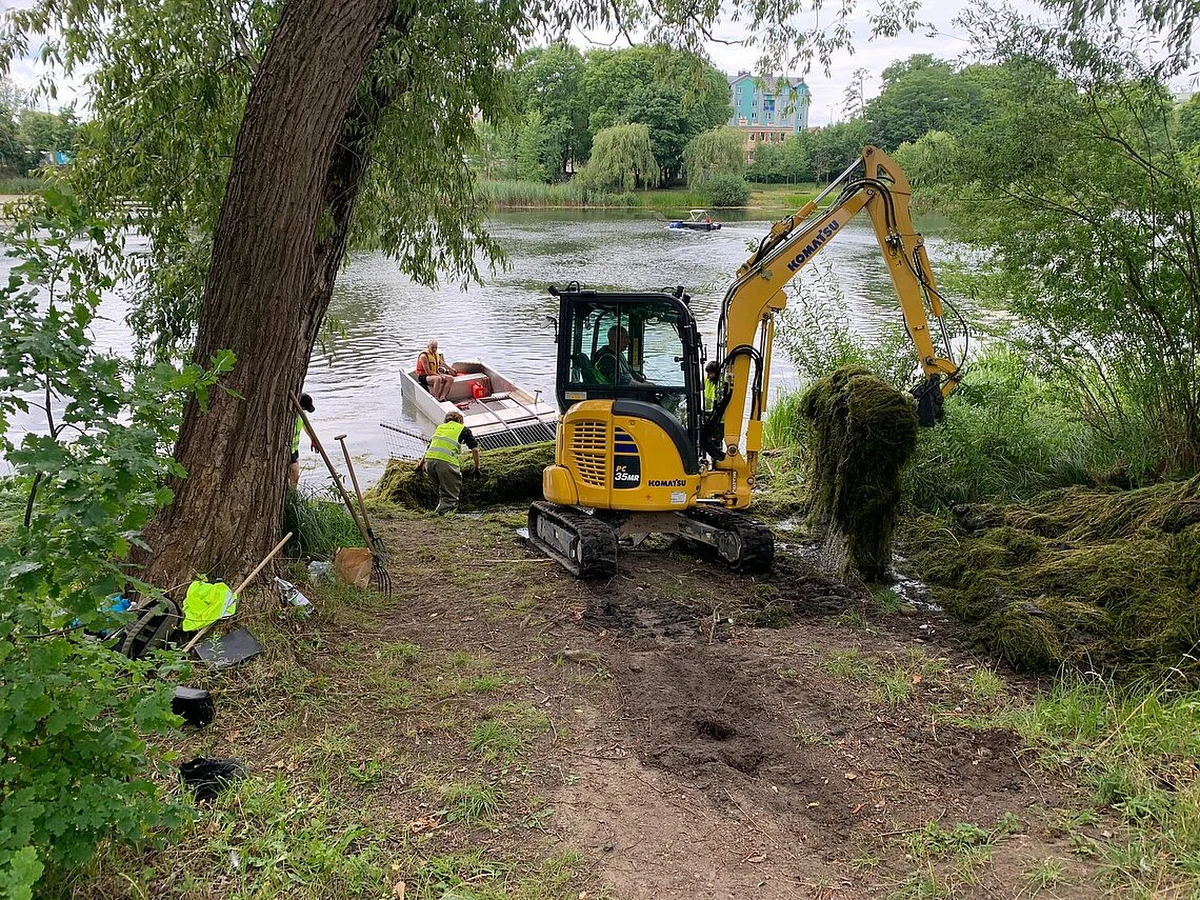 Urząd Miejski w Olsztynie poinformował o rozpoczęciu prac na jeziorze Długim. Do końca tygodnia potrwa odławianie z tafli moczarki delikatnej. To wiąże się z utrudnieniami w pobliżu akwenu.