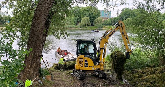 Urząd Miejski w Olsztynie poinformował o rozpoczęciu prac na jeziorze Długim. Do końca tygodnia potrwa odławianie z tafli moczarki delikatnej. To wiąże się z utrudnieniami w pobliżu akwenu.