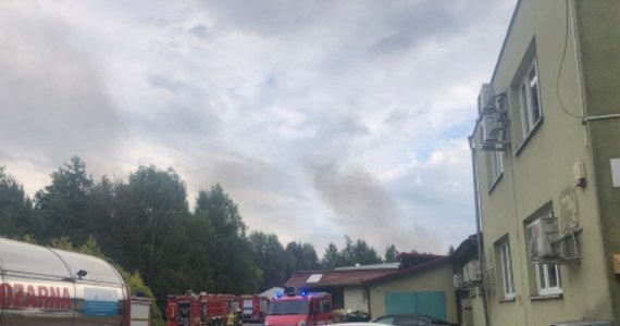 Ponad 40 strażaków walczy z pożarem hali magazynowej w Żółwinie w powiecie pruszkowskim na Mazowszu. Strażacy apelują do mieszkańców okolicznych miejscowości, by nie zbliżać się w rejon pożaru. Wstępnie udało się opanować ogień.