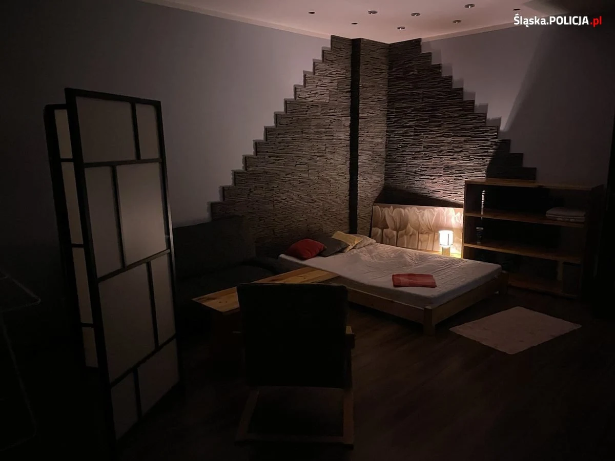 51-latek i 43-latka od lat prowadzili agencje towarzyskie na Śląsku. W trakcie swojej działalności zwerbowali co najmniej kilkanaście prostytutek, organizowali miejsca schadzek i erotyczne sesje fotograficzne. Usługi reklamowali na portalach erotycznych. Małżeństwo zostało zatrzymane przez kryminalnych z Zespołu do walki z Handlem Ludźmi KWP w Katowicach.