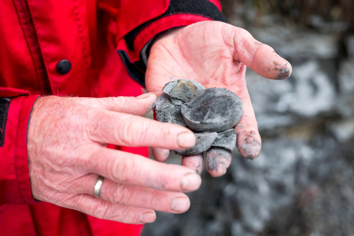 W skałach łupkowych w Bawarii znaleziono dowody najstarszego na Ziemi masowego wymarcia. Doszło do niego 443 miliony lat temu. Naukowcy przypuszczają, że na skutek gwałtownego ocieplenia wymarło 85 procent gatunków zwierząt.
