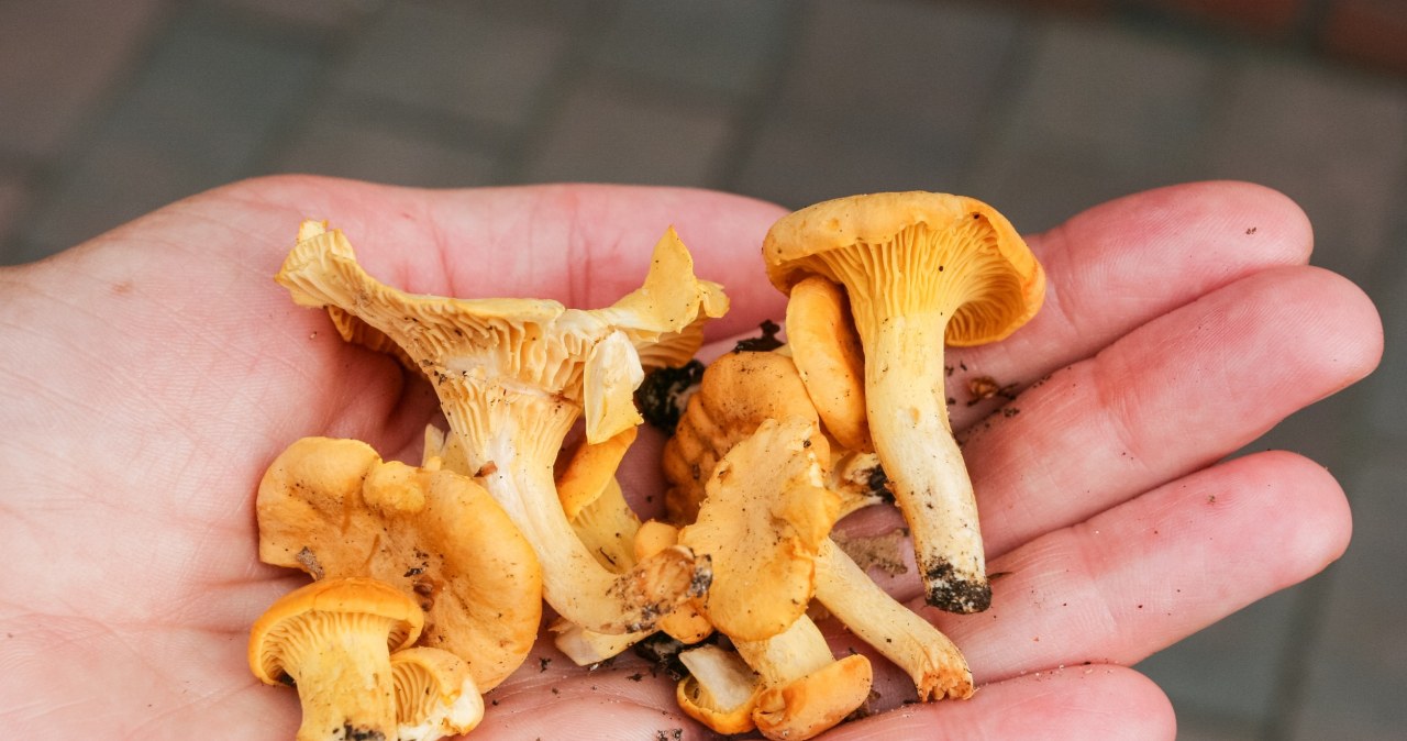 Genialny trik na czyszczenie kurek. Wystarczy kilka sekund