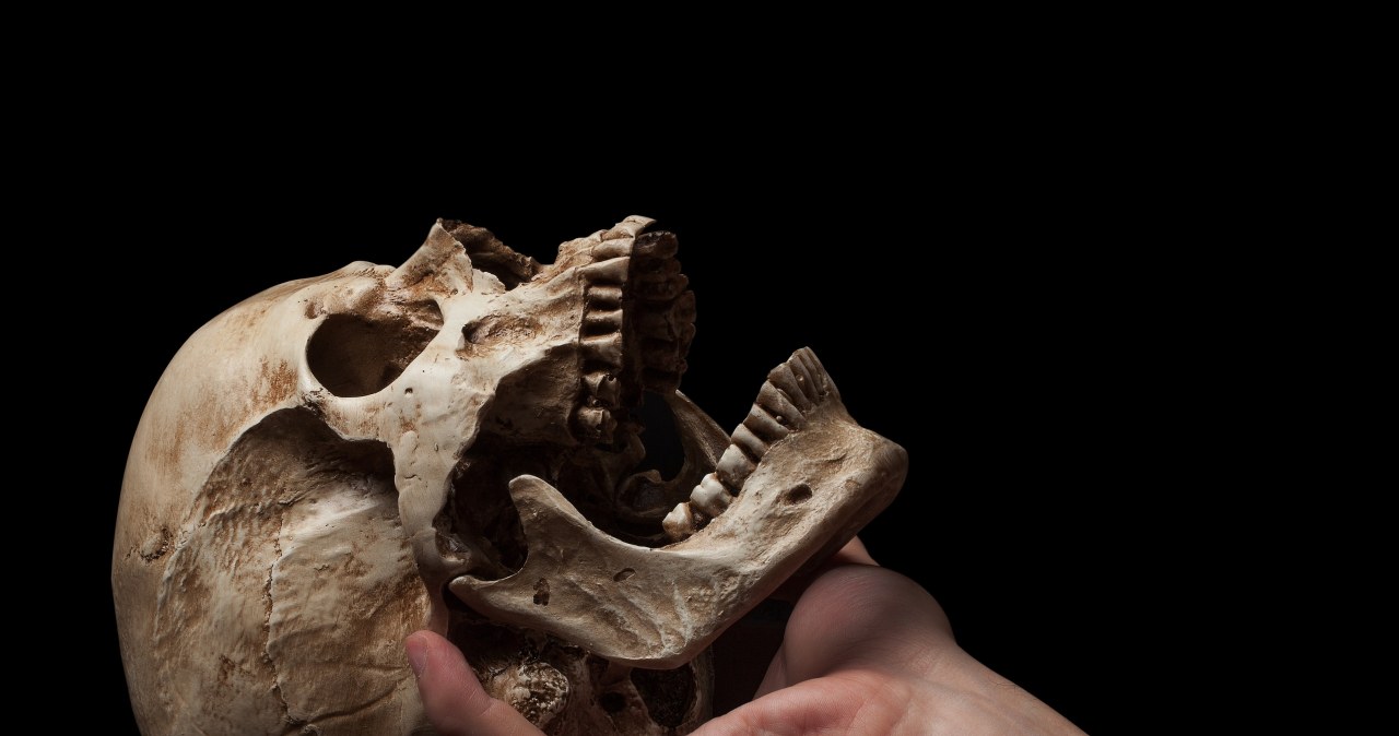 Tempo ewolucji człowieka przebiło małpy. Naukowcy zaskoczeni