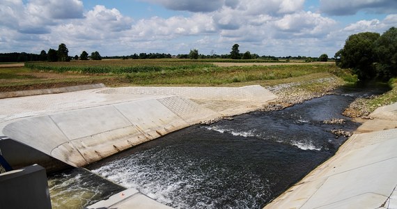 4 mln 600 tys. zł przeznaczył samorząd województwa łódzkiego na walkę z suszą w tym roku. To pieniądze dla samorządów na remonty zbiorników małej retencji. Właśnie takie zbiorniki wiosną chronią przed powodziami, zatrzymując nadmiar wody, a latem są rezerwuarem wody w czasie suszy.