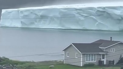 Ogromna góra lodowa u wybrzeży Kanady. Nagranie hitem sieci [WIDEO]