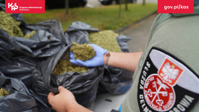 35 kg marihuany ukrytych w podwoziu lawety
