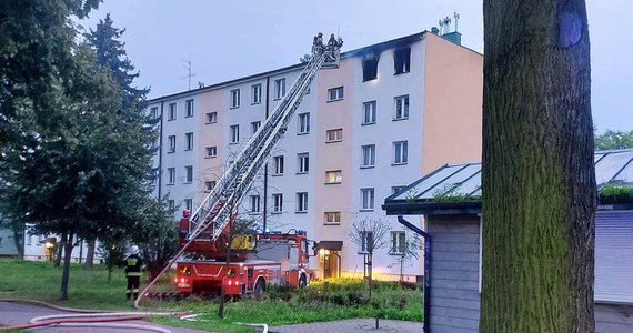 Doszczętnie spłonęło minionej nocy mieszkanie na czwartym piętrze bloku spółdzielczego w Wadowicach. Nikt nie został poszkodowany. Właściciel przebywał poza lokalem. Pożar wymusił ewakuację 19 osób z sąsiednich mieszkań - podali strażacy.