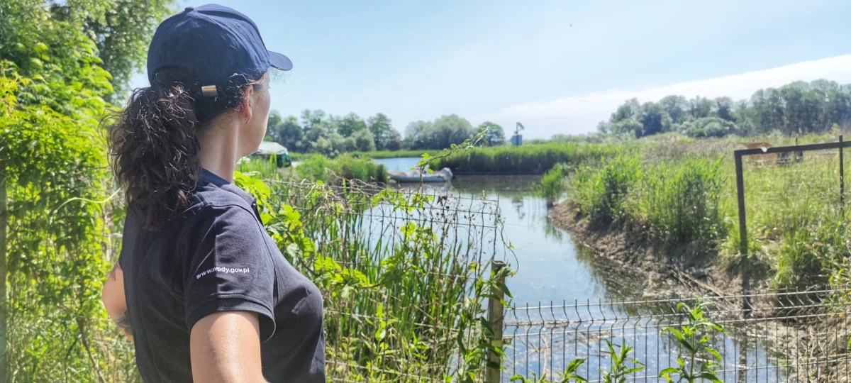 Kilkudziesięciu pracowników Wód Polskich będzie w sobotę sprzątać Jeziorko Słoneczne na szczecińskich Gumieńcach. Skrzyknęli się sami, bo mieszkańcy okolic jeziorka od lat narzekają na jego stan.
