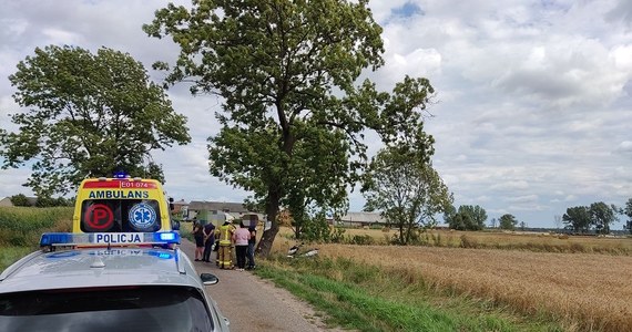 Kutnowscy policjanci wyjaśniają okoliczności tragicznego wypadku w Gosławicach (Łódzkie). Przypadkowa osoba znalazła w rowie przewrócony motocykl, obok którego leżała ranna 12-latka. Okazało się, że dziewczynka sama kierowała pojazdem.